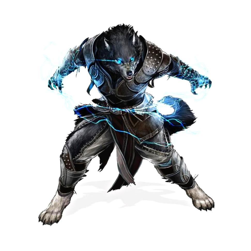 Name:  Wolf.jpg
Views: 201
Size:  77.0 KB