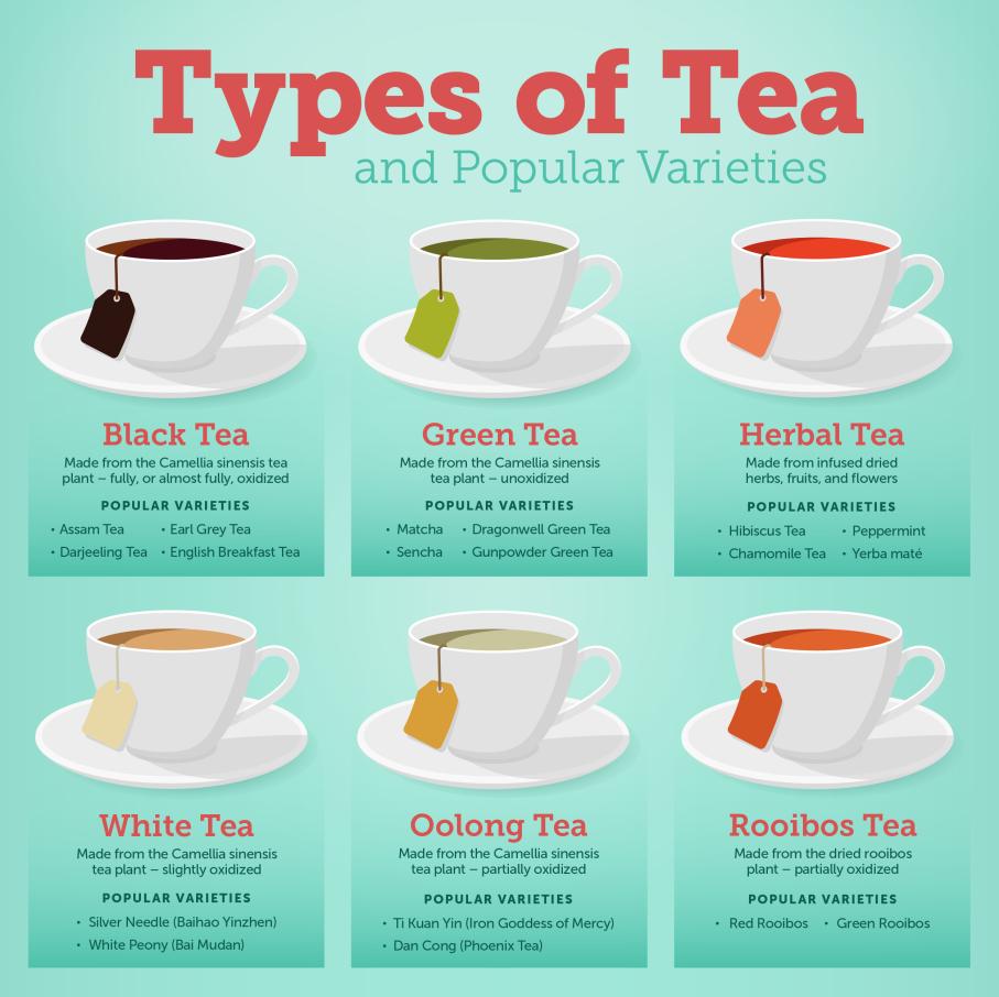 Name:  types-of-tea-infographic.jpg
Views: 2052
Size:  79.3 KB