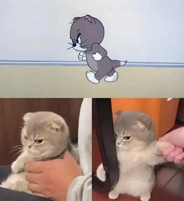 Name:  Fnye6KqWAAAWupu (1).jpg
Views: 44
Size:  30.3 KB