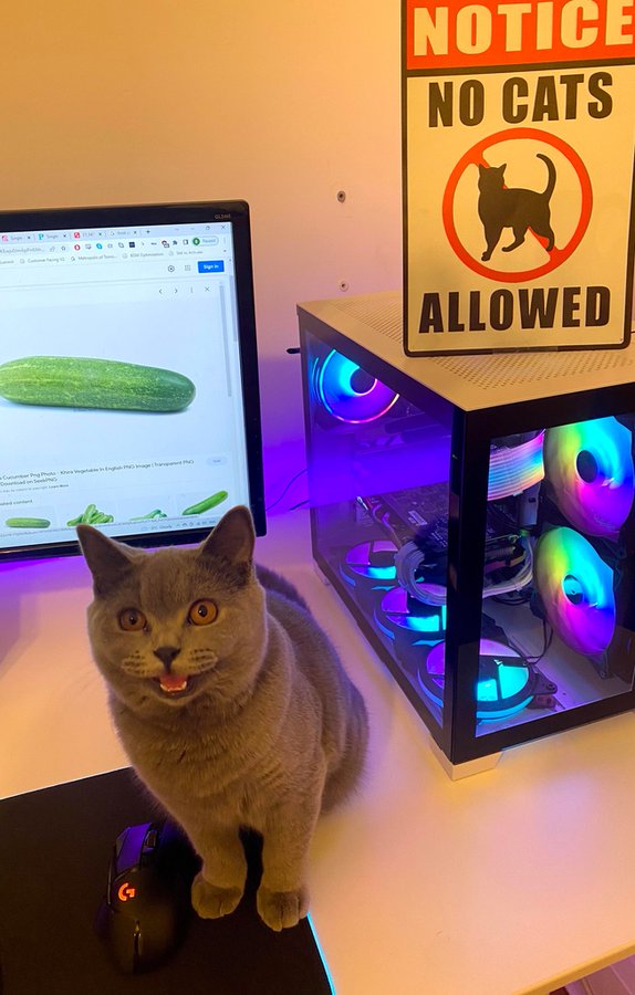 Name:  FoSmdMpWYAAmxg-.jpg
Views: 62
Size:  82.7 KB