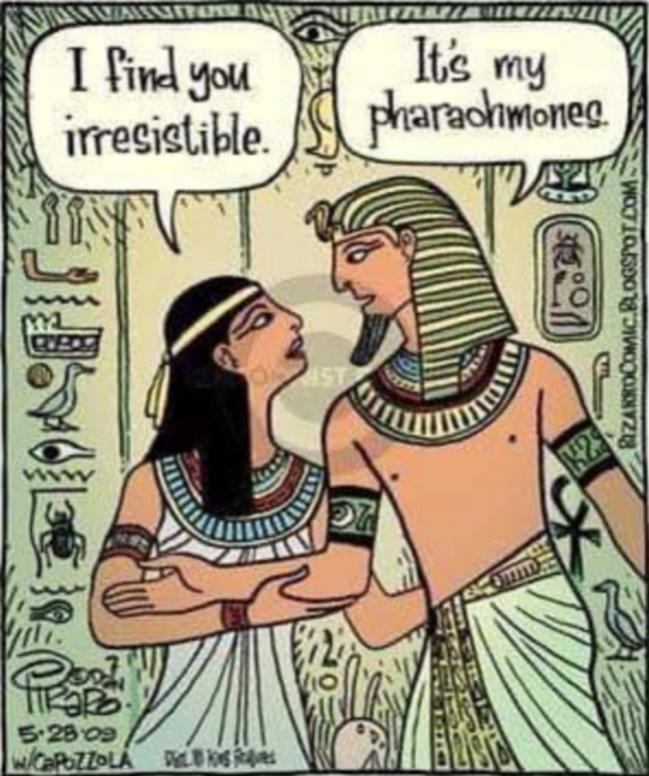 Name:  78586642_2624610004243536_5172025426301681664_n.jpg
Views: 2799
Size:  86.3 KB