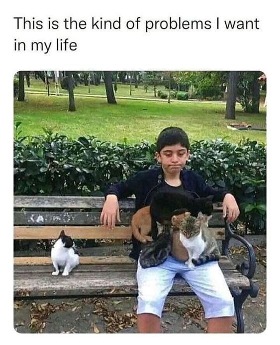 Name:  FotirXJXEAAYSuX.jpg
Views: 22
Size:  71.9 KB