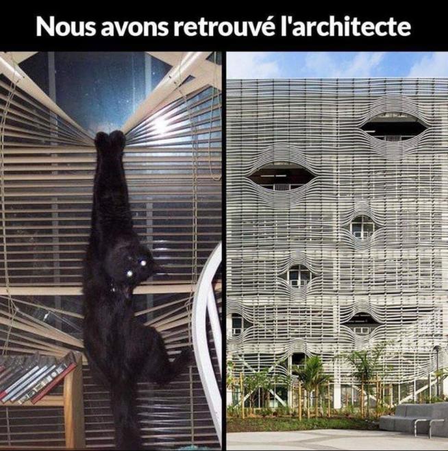 Name:  FpCZN-4WIAAs1i9.jpg
Views: 38
Size:  95.0 KB