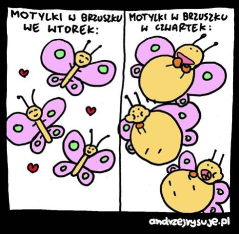 Name:  motylki.jpg
Views: 50
Size:  39.1 KB