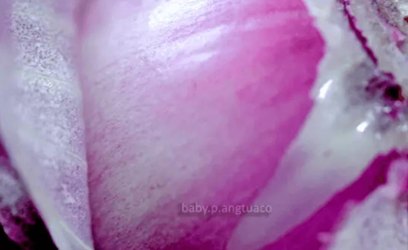 Click image for larger version.&nbsp;

Name:	image3.jpg&nbsp;
Views:	388&nbsp;
Size:	31.4 KB&nbsp;
ID:	15198