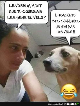 Name:  20230217_164424.jpg
Views: 43
Size:  23.7 KB