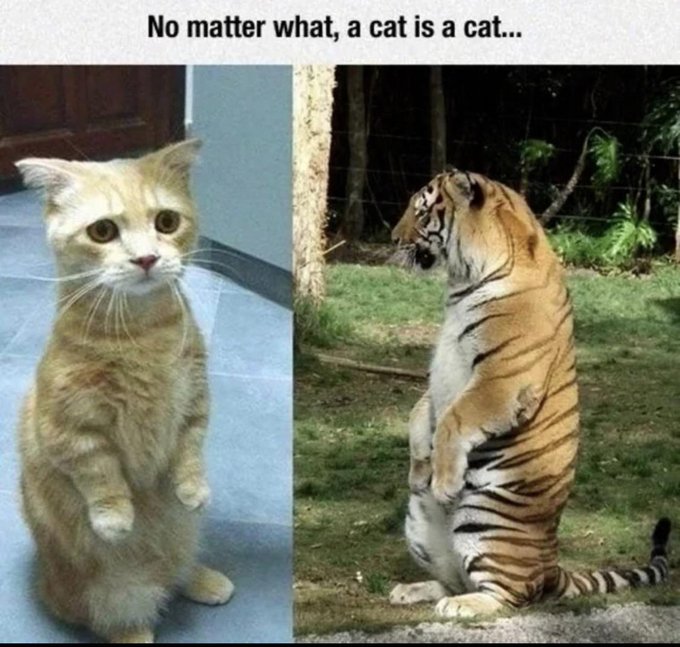 Name:  20230216_145652.jpg
Views: 45
Size:  83.2 KB