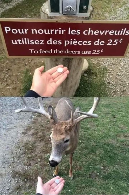 Name:  20230215_155924.jpg
Views: 43
Size:  79.2 KB