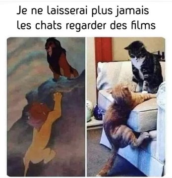 Name:  20230213_201509.jpg
Views: 45
Size:  27.8 KB