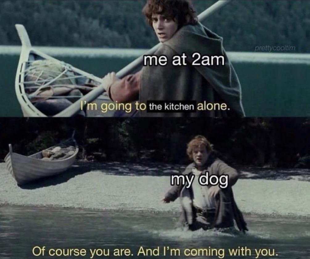 Name:  20230212_042803.jpg
Views: 45
Size:  80.6 KB