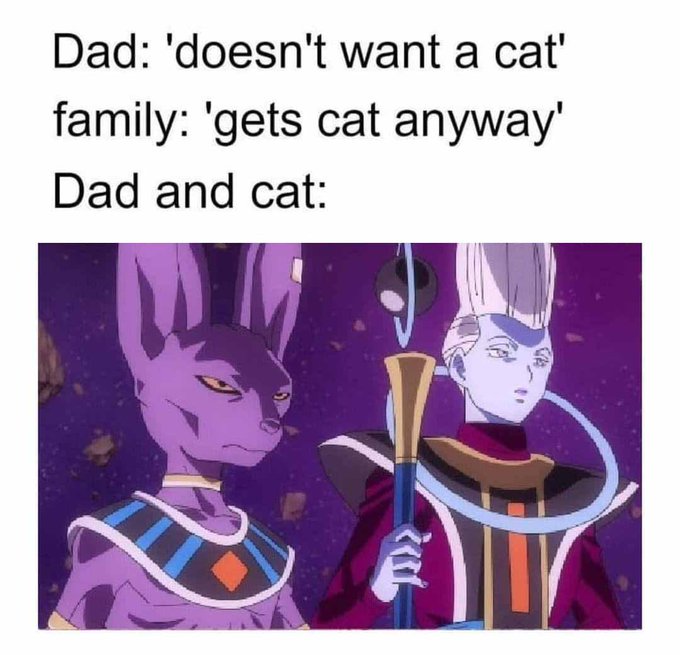 Name:  20230111_144035.jpg
Views: 45
Size:  66.0 KB