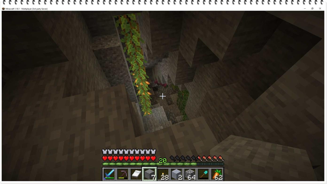 Name:  Image 027.jpg
Views: 21
Size:  89.2 KB