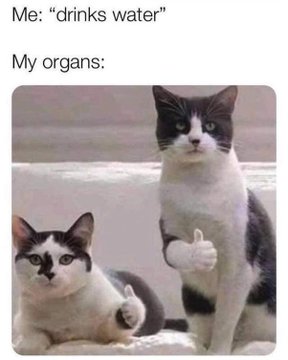 Name:  20230220_162552.jpg
Views: 44
Size:  16.4 KB