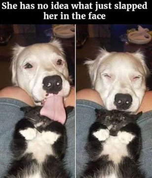 Name:  20230220_151128.jpg
Views: 45
Size:  26.9 KB