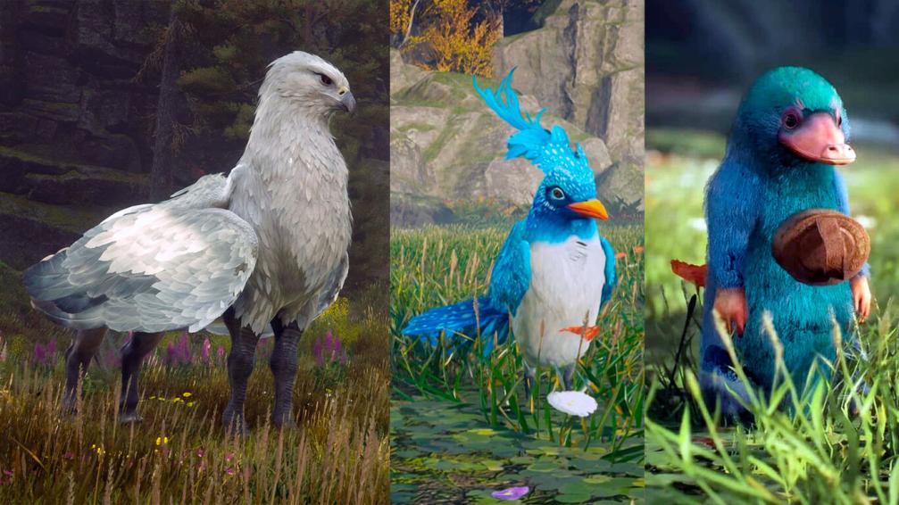 Name:  animales.jpg
Views: 411
Size:  101.3 KB