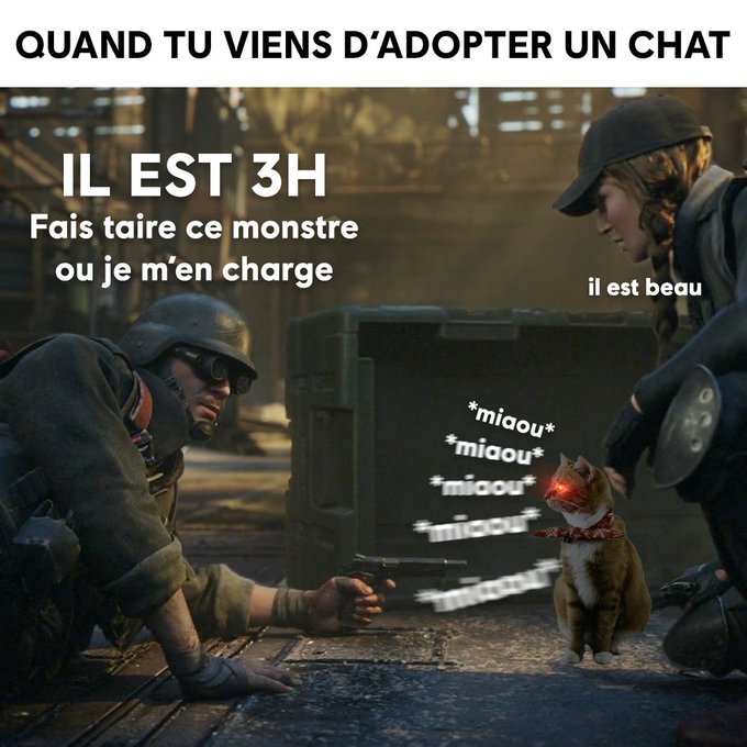 Name:  20230227_182530.jpg
Views: 41
Size:  78.9 KB