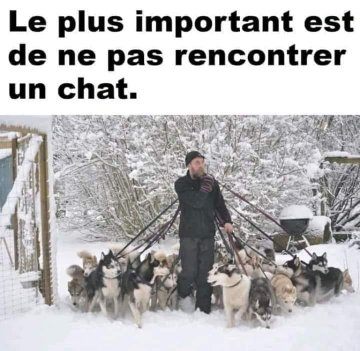 Name:  20230302_115649.jpg
Views: 28
Size:  33.4 KB