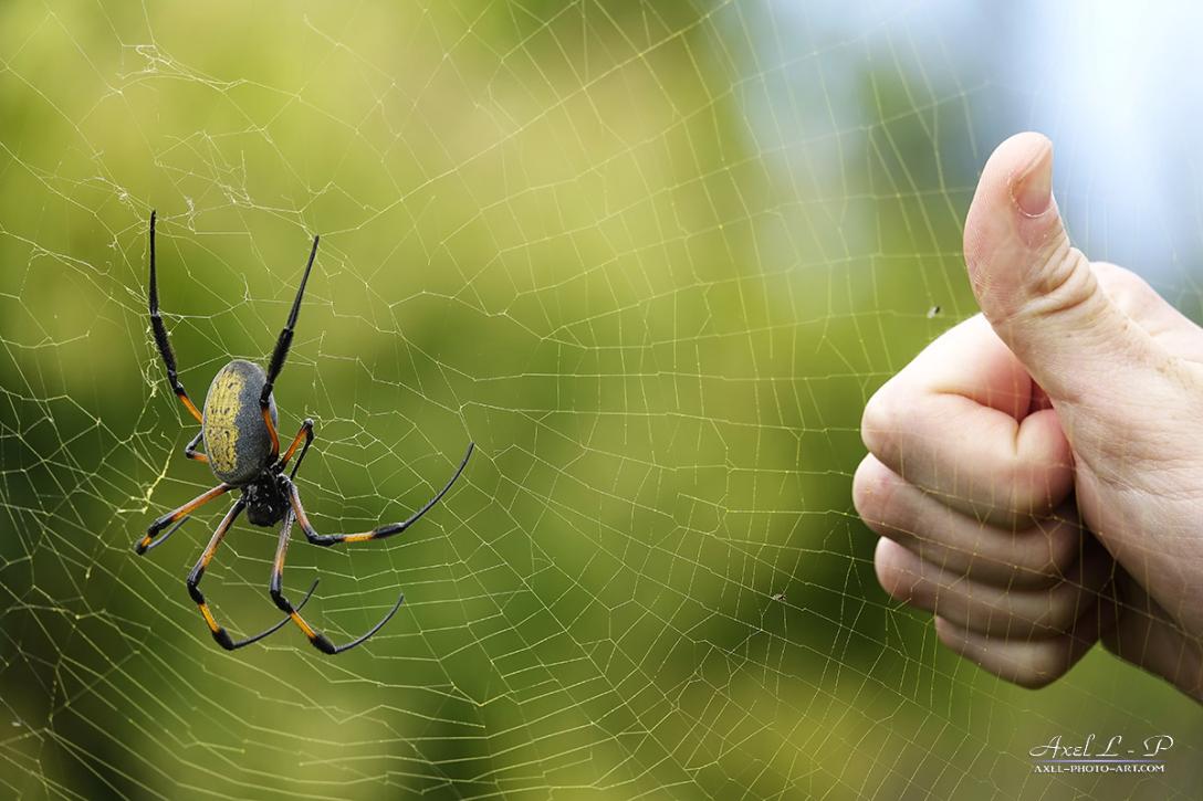 Name:  SON0227-1200.jpg
Views: 25
Size:  91.4 KB