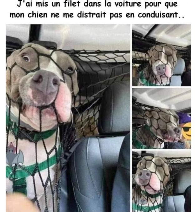 Name:  FqSdr1EWYAI4dRQ.jpg
Views: 72
Size:  67.4 KB