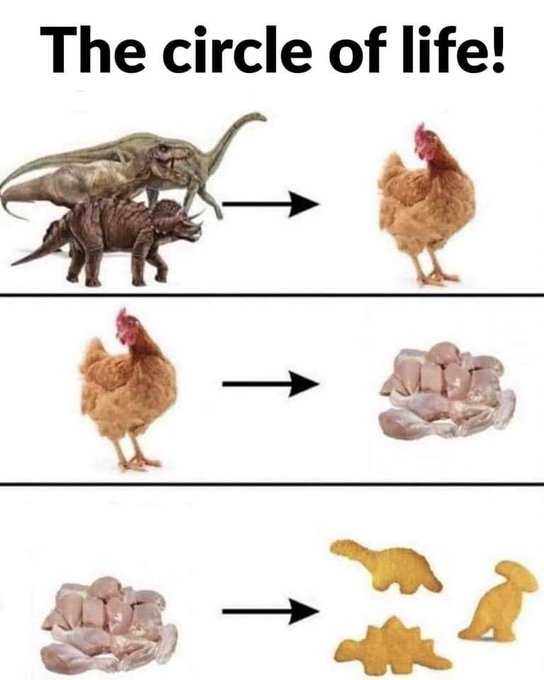 Name:  20230308_171508.jpg
Views: 59
Size:  40.1 KB