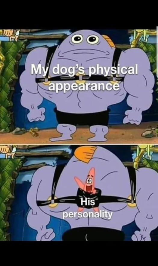 Name:  FqpZ91QXoAA0EPL.jpg
Views: 82
Size:  56.1 KB