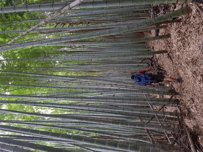 Name:  20170911_125217.jpg
Views: 87
Size:  98.7 KB