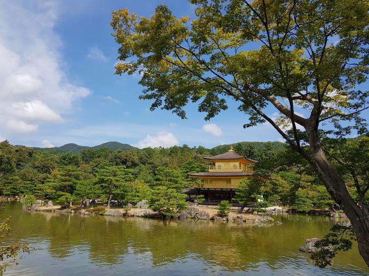 Name:  20170910_095932.jpg
Views: 89
Size:  97.4 KB