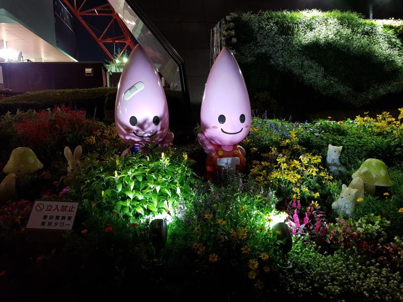 Name:  20170903_211723.jpg
Views: 88
Size:  97.4 KB