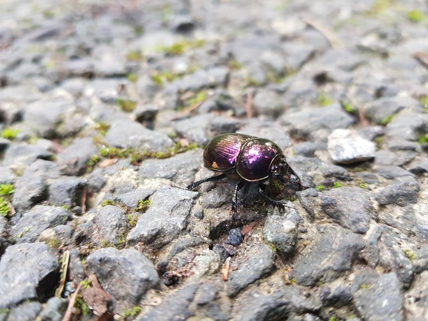 Name:  20170905_105451.jpg
Views: 86
Size:  95.4 KB