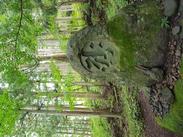 Name:  20170906_101453.jpg
Views: 88
Size:  97.7 KB