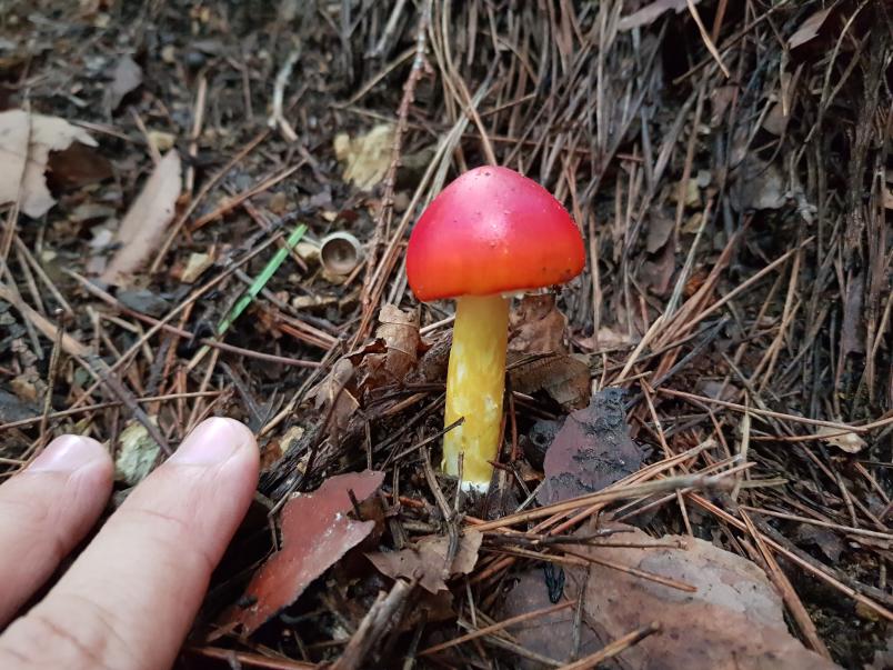 Name:  20170906_162524.jpg
Views: 86
Size:  99.0 KB