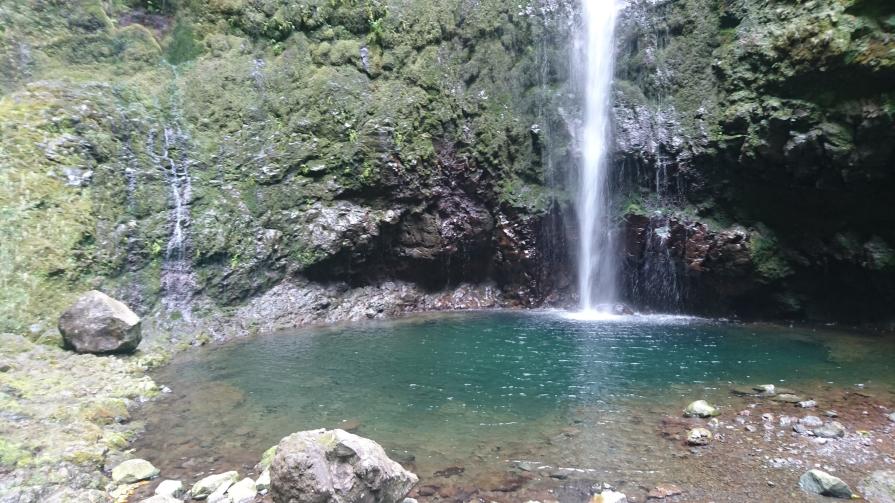 Name:  DSC_0558.jpg
Views: 40
Size:  102.0 KB