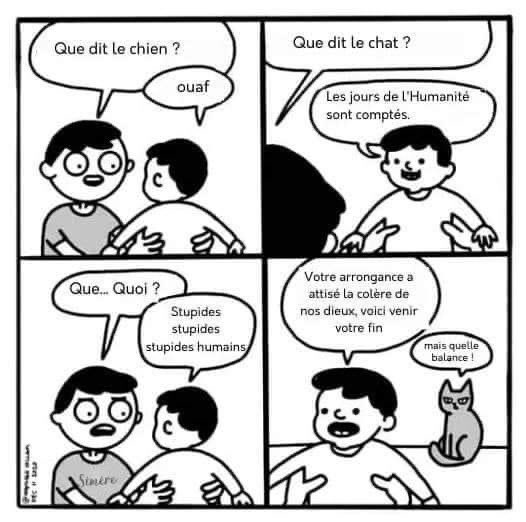 Name:  Frf8JD4XsAUHwfJ.jpg
Views: 56
Size:  41.8 KB