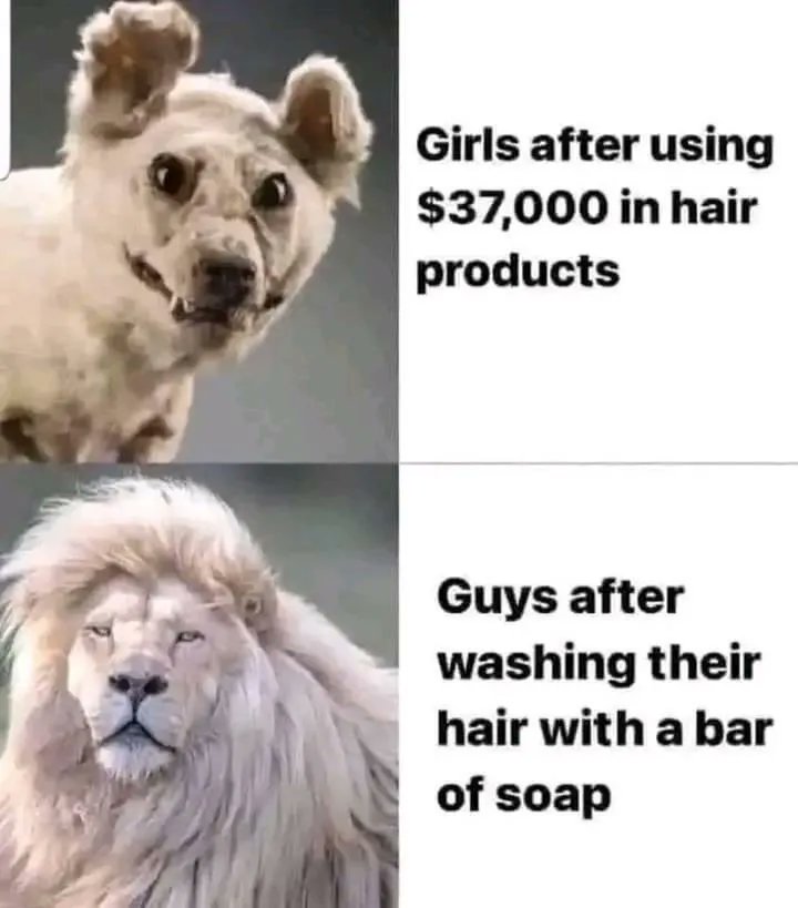 Name:  Frn0PKoWYAA0dV8.jpg
Views: 39
Size:  57.5 KB