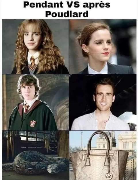 Name:  Frq9i3SXsAE3yIQ.jpg
Views: 48
Size:  37.9 KB