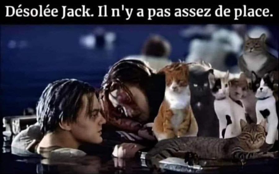 Name:  FrwNcxlXwAIfMqg.jpg
Views: 76
Size:  66.8 KB