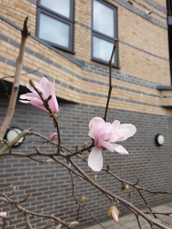 Name:  20230319_123137.jpg
Views: 124
Size:  72.9 KB