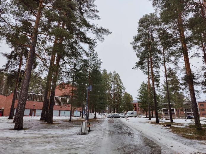 Name:  IMG20230324140447.jpg
Views: 117
Size:  97.4 KB