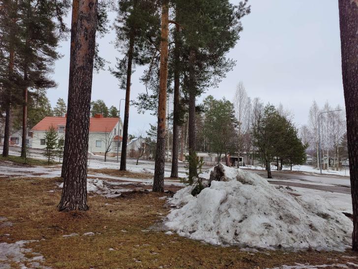 Name:  IMG20230324140320.jpg
Views: 113
Size:  97.0 KB