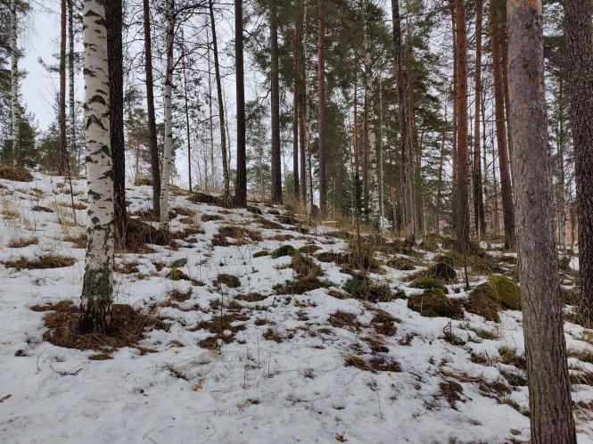 Name:  IMG20230324140743.jpg
Views: 117
Size:  98.2 KB