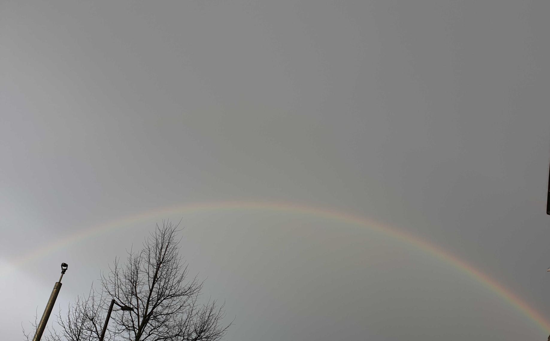 Name:  20230327_133524 (1).jpg
Views: 75
Size:  90.9 KB