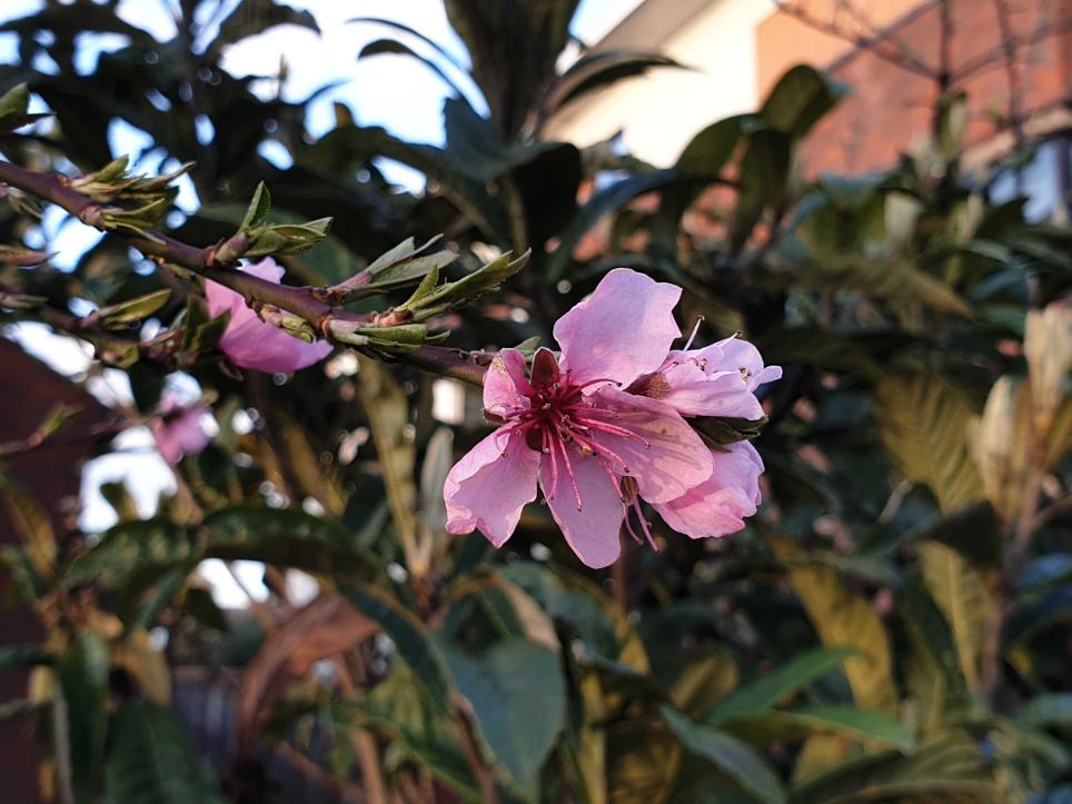 Name:  20230327_183801.jpg
Views: 86
Size:  89.5 KB