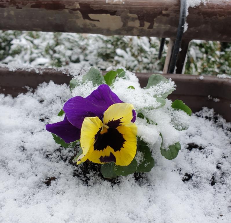 Name:  Screenshot_20230328-115514_Gallery.jpg
Views: 111
Size:  88.5 KB