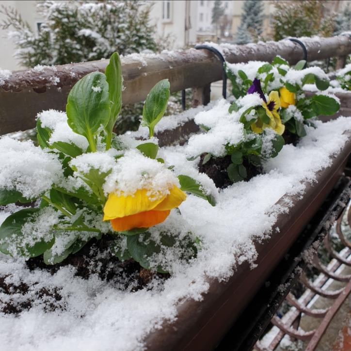 Name:  Screenshot_20230328-115435_Gallery.jpg
Views: 109
Size:  91.3 KB