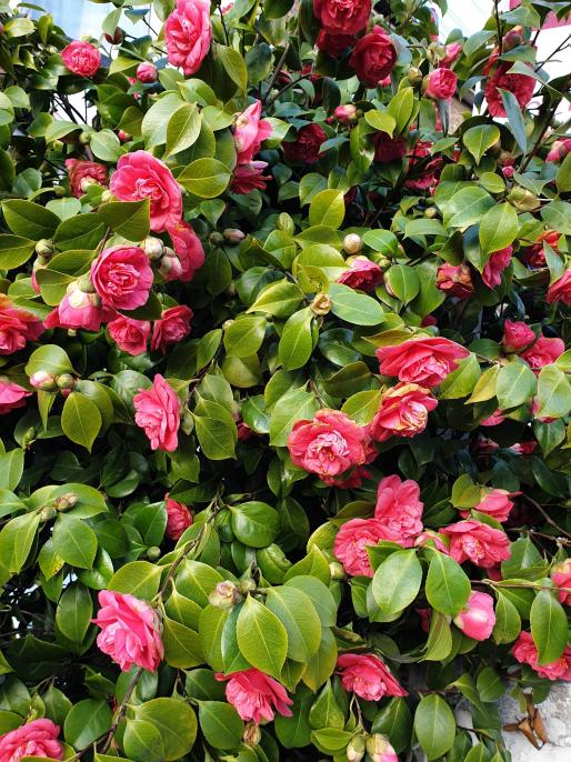 Name:  20230327_183121.jpg
Views: 55
Size:  103.3 KB