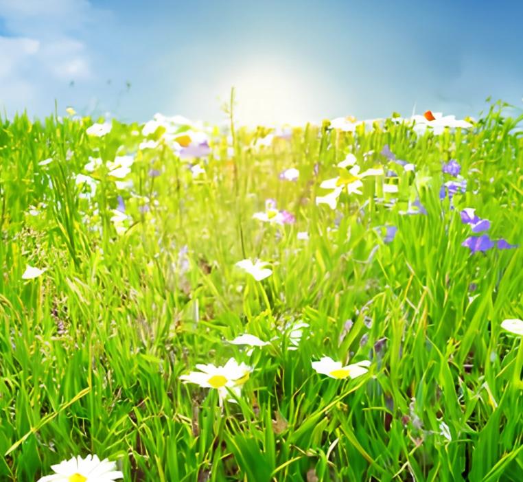 Name:  craiyon_182044_grass_rest_sun_beautiful_flowers.jpg
Views: 157
Size:  91.0 KB