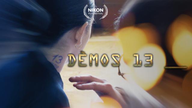 Name:  Demos13_vignette_C.jpg
Views: 149
Size:  19.6 KB