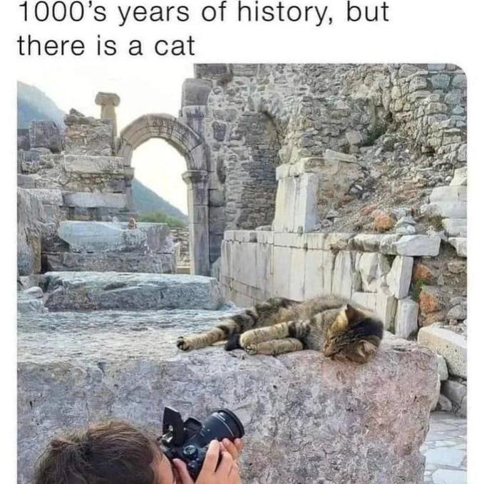 Name:  FsrdU_NWcAAZjZe.jpg
Views: 54
Size:  85.1 KB