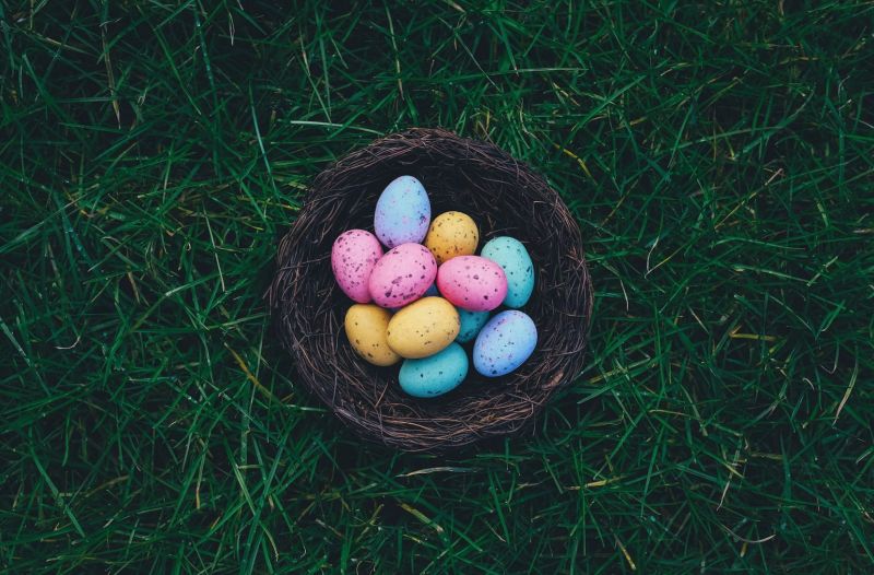 Name:  eastereggs.jpg
Views: 170
Size:  87.2 KB