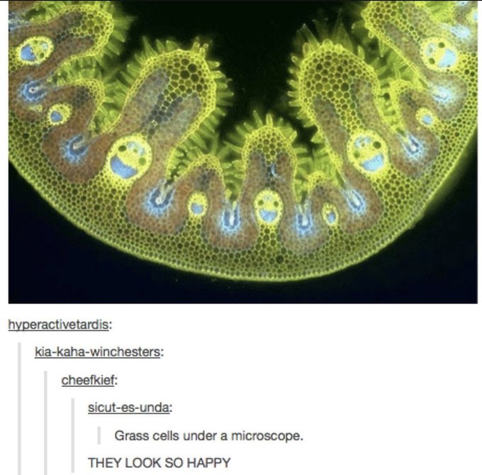 Name:  FtBiA9xXoAACcuJ.jpg
Views: 73
Size:  73.6 KB